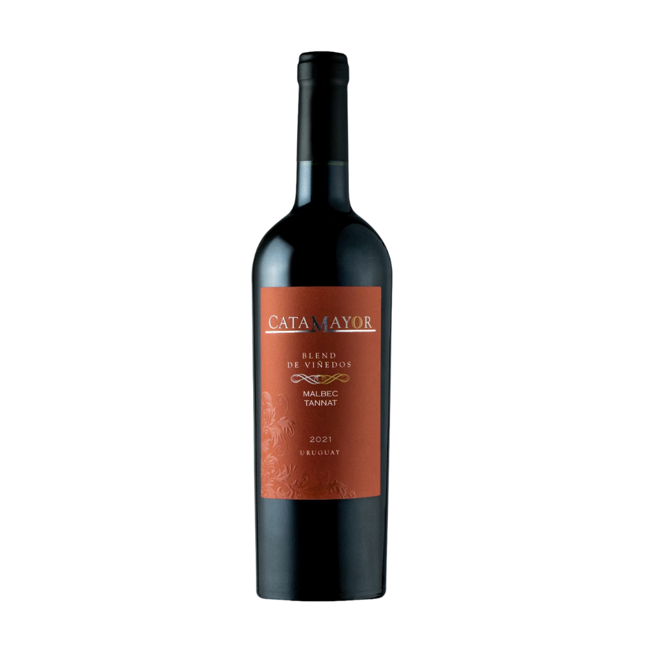 Vinho tinto Castillo Viejo Catamayor Malbec e Tannat 2021