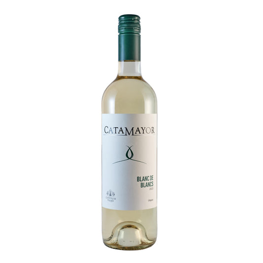 Vinho branco Castillo Viejo Catamayor Blanc de Blancs 2023